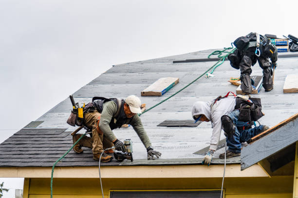 Professional Roof Replacement technician working in Crystal Springs, FL